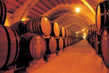 Degustazione Vini